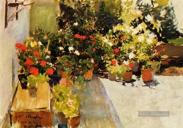  blumen - eine Dach mit Blumen Maler Joaquin Sorolla